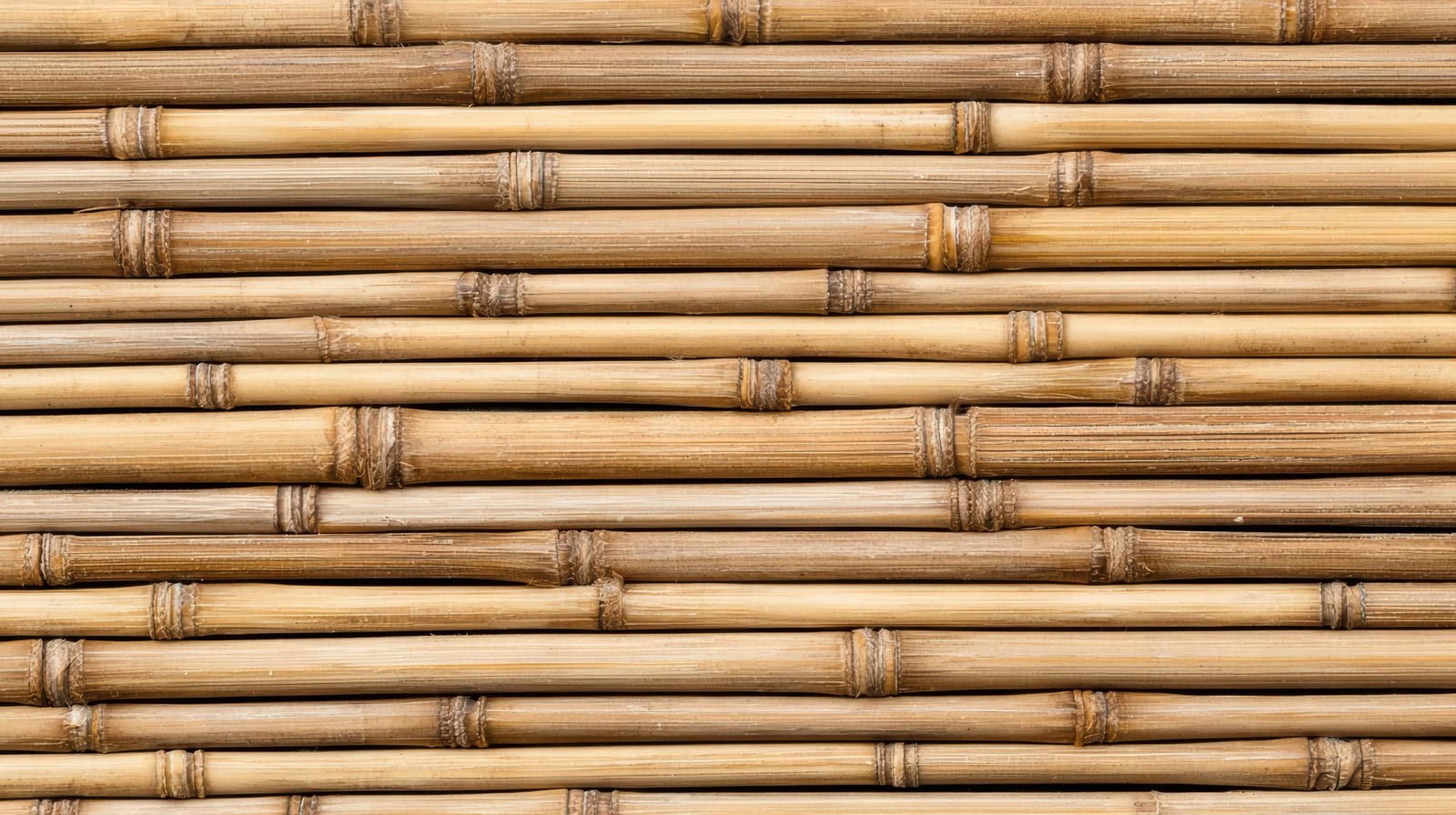 Pérgola e Cobertura de Bambu — bambu tratado produzido pela Artbambu Labs