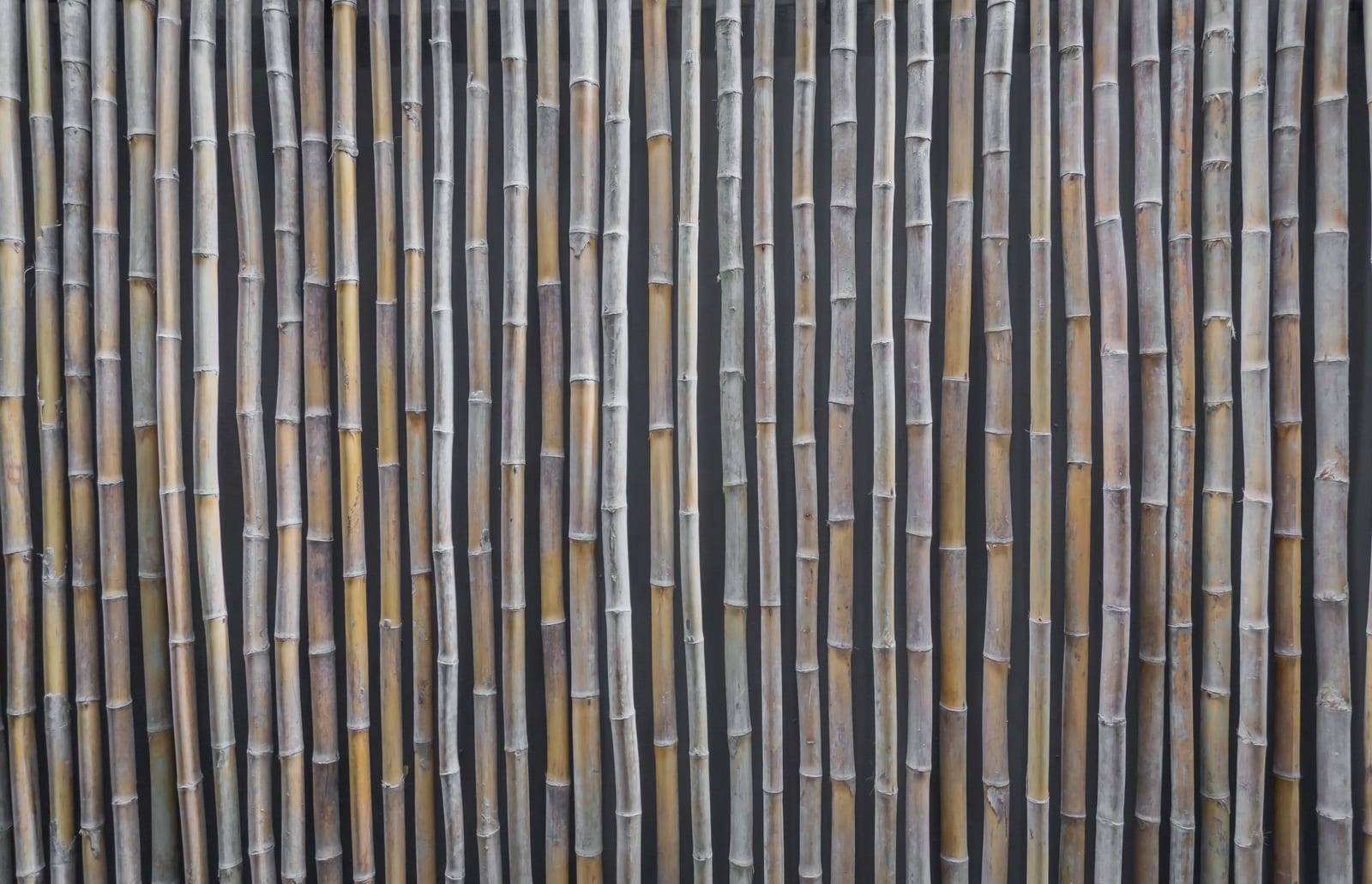 Painel de Bambu para Muros e Paredes — bambu tratado produzido pela Artbambu Labs