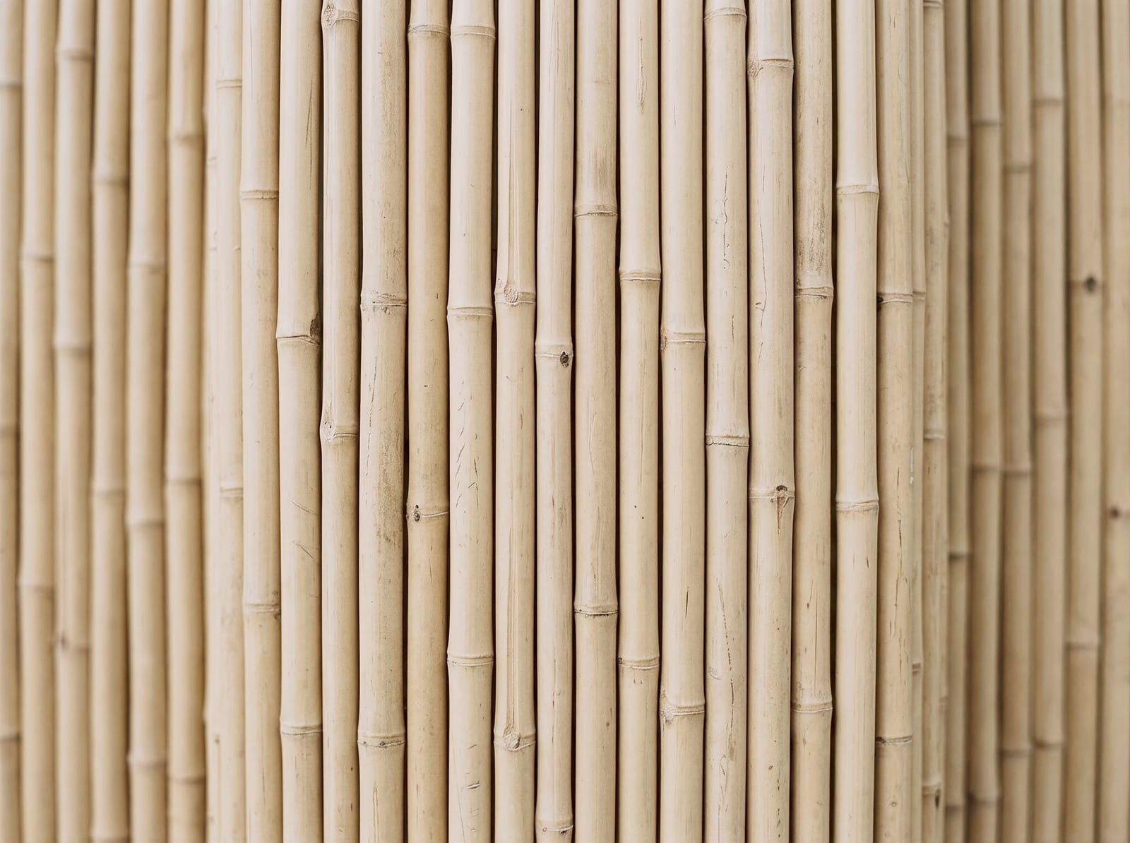 Biombo de Bambu com Palha — bambu tratado produzido pela Artbambu Labs